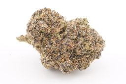 AUG25_Candy_Float_4a