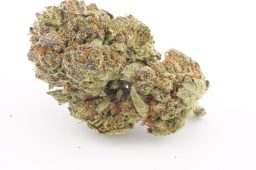AUG25_Grape_Gushers_3a