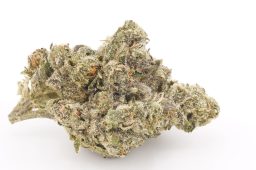 AUG25_Super_Candy_Runtz_4a