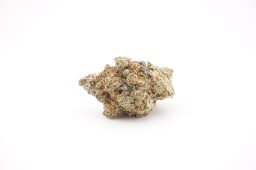 Apr26 alien vortez_plus