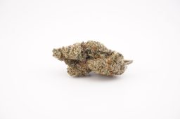 Apr26 banana taffy_plus