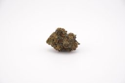 Apr26 fire funk_plus