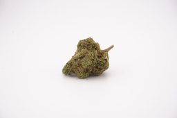 Apr26 lemon cherry gelato_4a