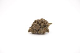 Apr26 nuclear_4a