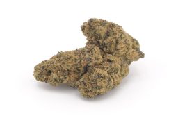 Aug25_CandyGelato4A