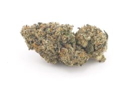 Aug25_GrapeGas4A