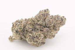 Aug25_OakLato_4a