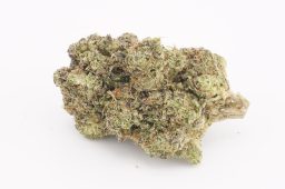 Aug25_biscotti3a