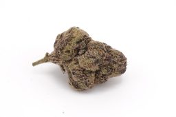 Aug25_blackruntzmediums