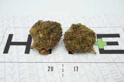 Berry Og
