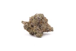 Dec25_Bacio X Gelato X G41 (Plus)