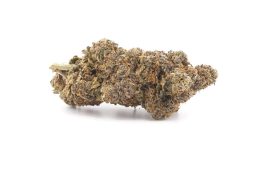 Dec25_Gelato 41 (AAAA)