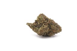 Dec25_Kush Newton (AAAA)