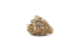 Dec25_Member Berry (AAAA)