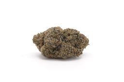 Dec25_Pink Runtz (Plus)