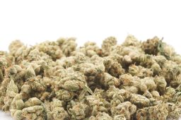 Dec25_SFV OG Smalls Dec25_SFV OG Smalls