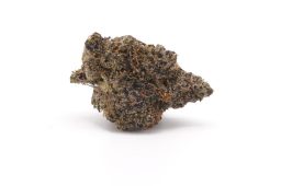 Dec25_Zkittlez X Runtz Sweet Retreat (Plus)