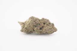 JAN 26_cherry jarritos 3a JAN 26_cherry jarritos 3a