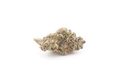 JAN 26_mylar magic plus