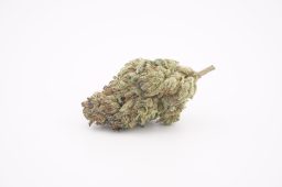 JAN 26_purple cream 3a JAN 26_purple cream 3a