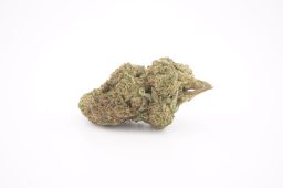 JAN 26_space rocks 3a JAN 26_space rocks 3a