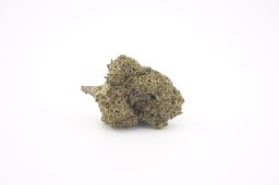 JAN 26_super runtz 3a JAN 26_super runtz 3a