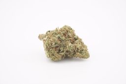 JAN 26_tangie burger 3a JAN 26_tangie burger 3a