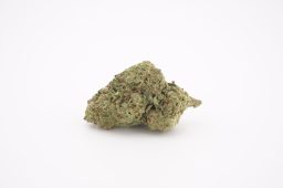 JAN 26_vice city 3a JAN 26_vice city 3a