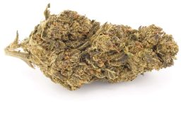 JUL25_Bubblegum