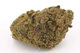 JUL25_StrawberryGuava
