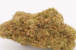 JUN25_chemdog