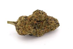 JUN25_cherry-tart-4a