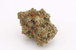 JUN25_eleven grapes 4a