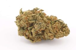 JUN25_funeral cake 3a