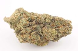 JUN25_gmo cookies 3a