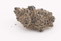 JUN25_lcg runtz x larry og plus