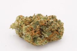 JUN25_madd_fruit