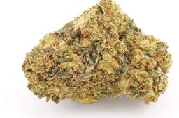 JUN25_modified_grapes_a