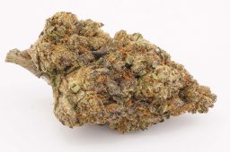 JUN25_monster_cookies_3a