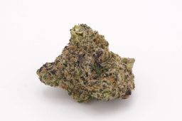 JUN25_off white gelato plus