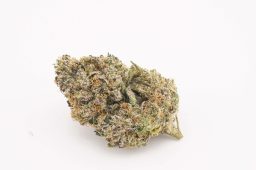 JUN25_purple_runtz