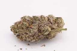 JUN25_purple_sticky_rice
