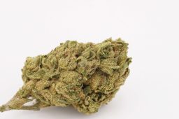 JUN25_strawberry_gelato