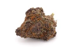 JUN25_tropicana-haze