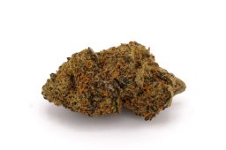 JUN25_tropicana-punch-4a