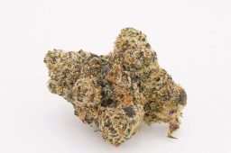 JUN25_warhead