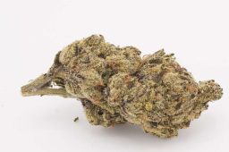 Jul25_bcg3a