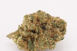 Jul25_madd_fruit_3a