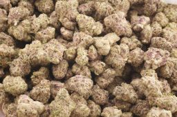 Jun25_grape sundae smalls