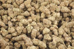 Jun25_grape_stank_smalls